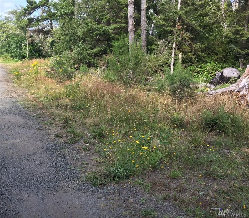 24771 V Lane - Photo 1