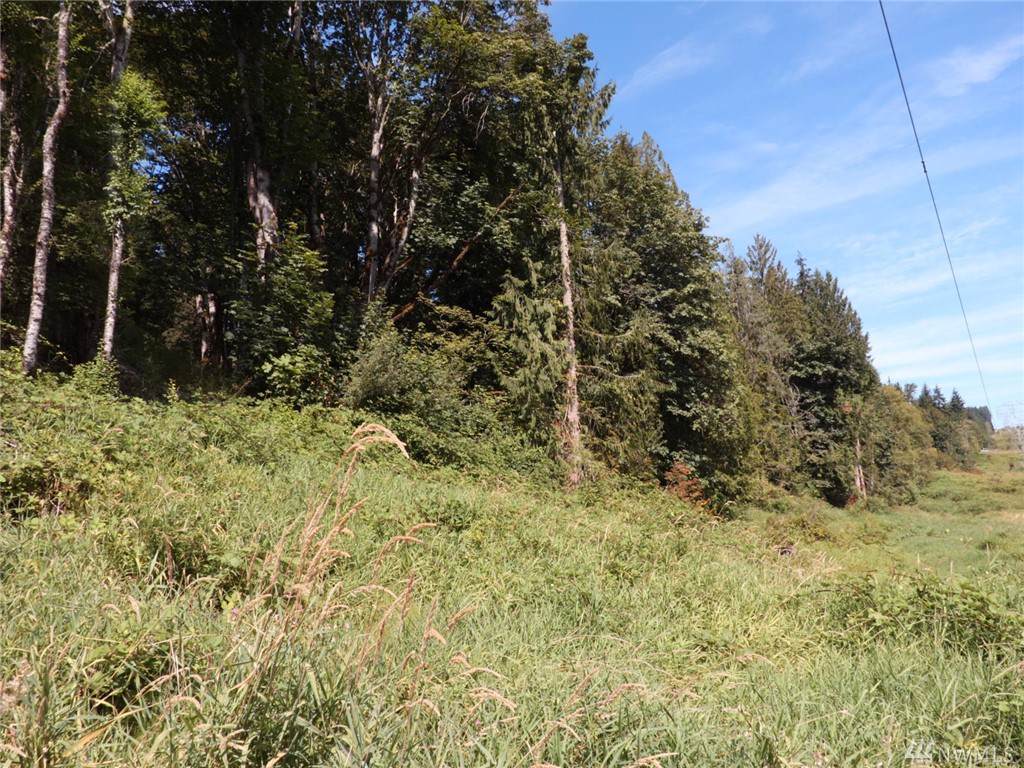 189-xx Mountain View Rd - Photo 1 189-xx Mountain View Rd - Photo 1