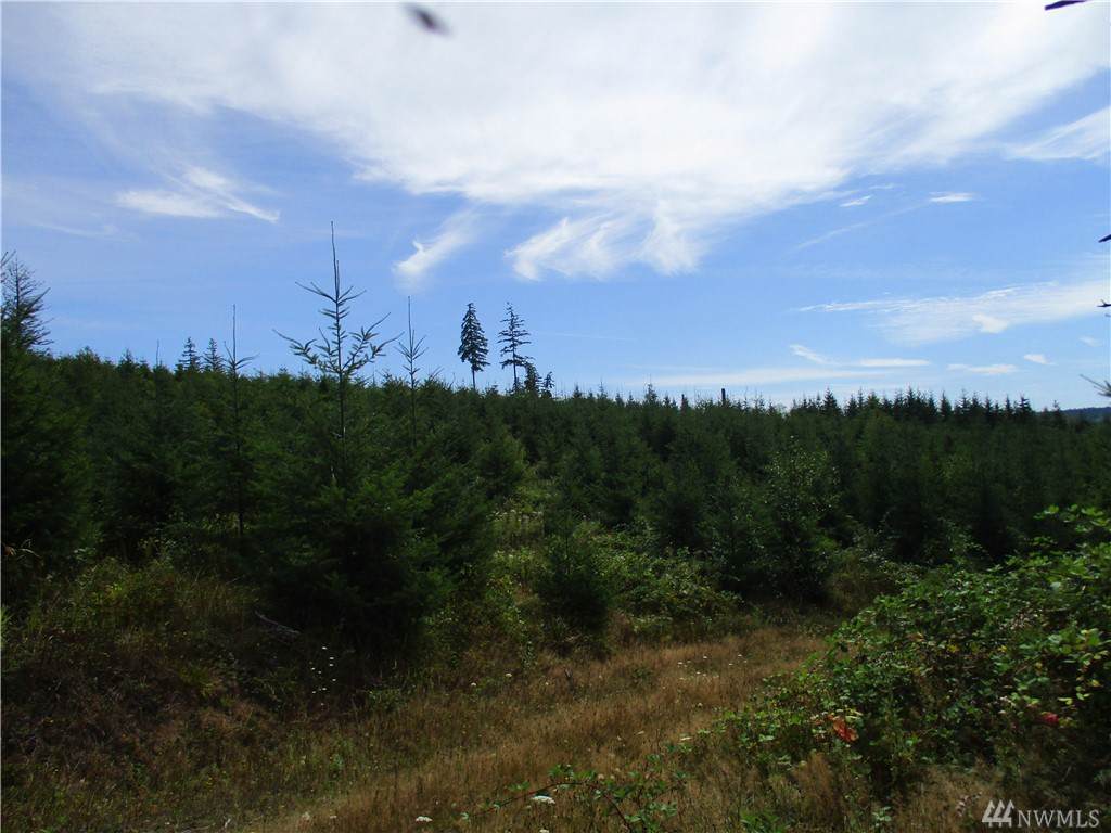 0-xx Lucas Creek Rd - Photo 1