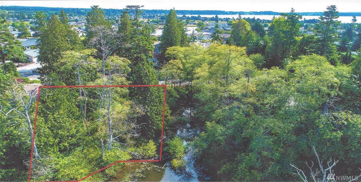 8147 Comox Loop - Photo 1