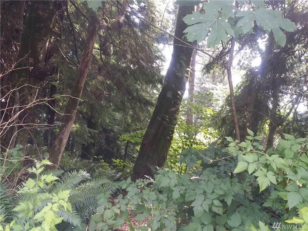 31416 358th Ave - Photo 1