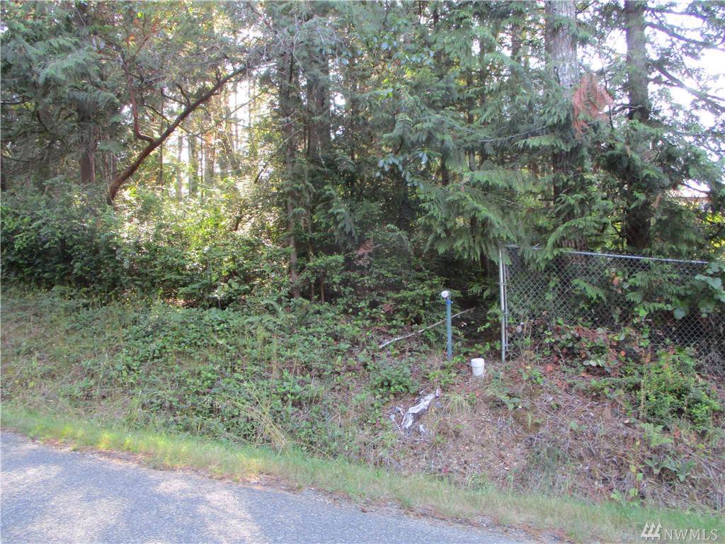31 Twanoh Falls Dr - Photo 1