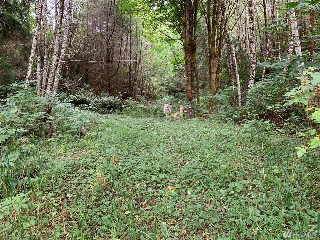 238 Minkler Rd - Photo 1