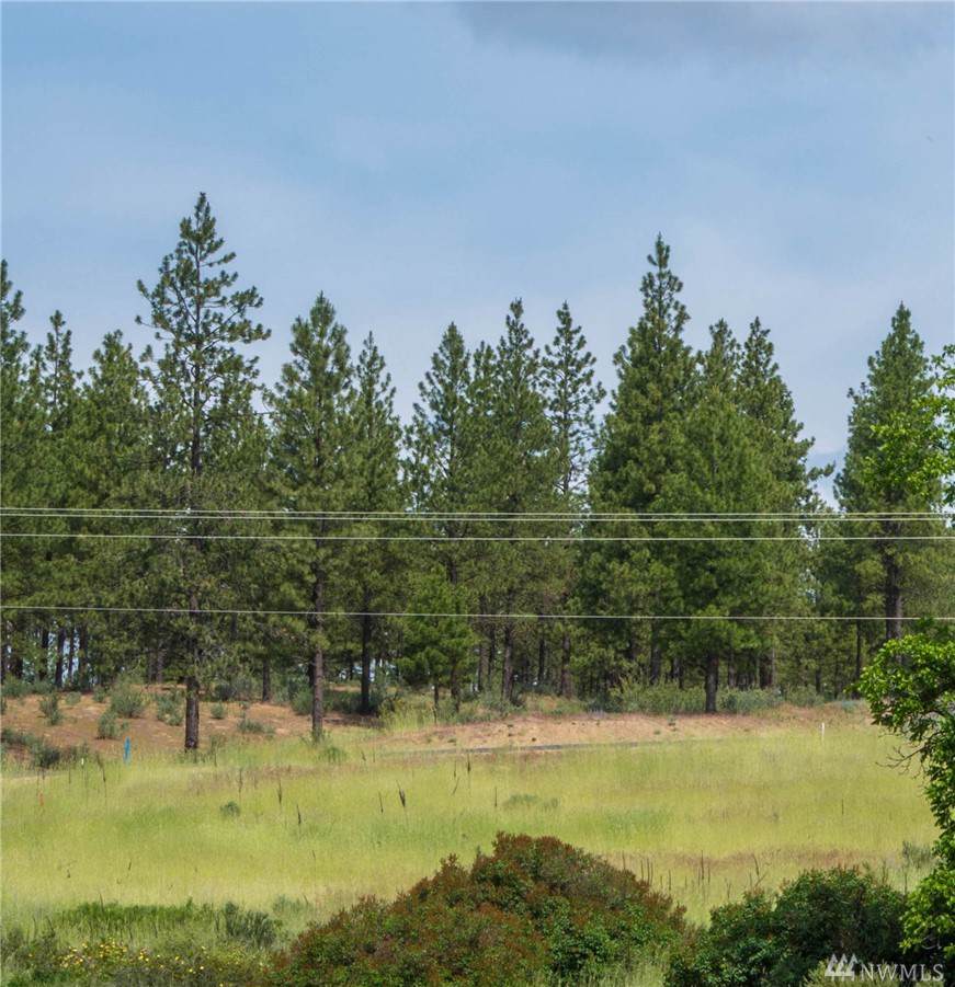 25656 Pine Cone Court - Photo 1