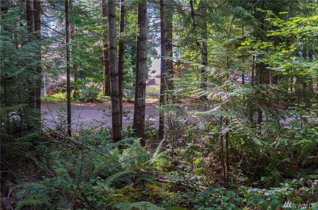 230 Potlatch Dr - Photo 1
