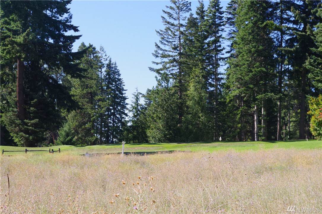 0-Lot 14A Hermitage Dr - Photo 1