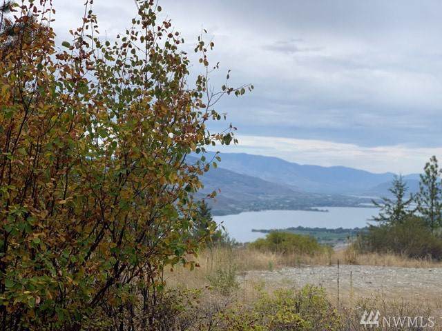 0-TBD Gold Rush Ridge Road - Photo 1