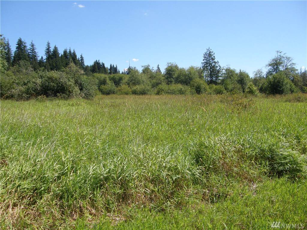 184 Newman Creek Rd - Photo 1