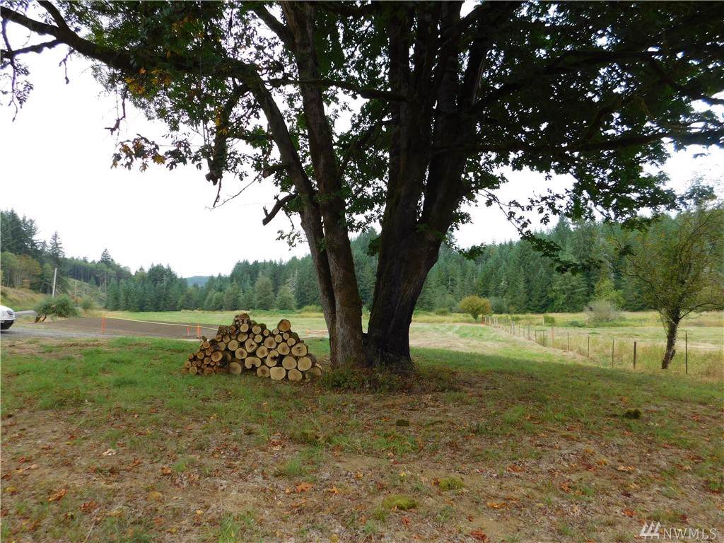 247 Reinke Rd - Photo 1