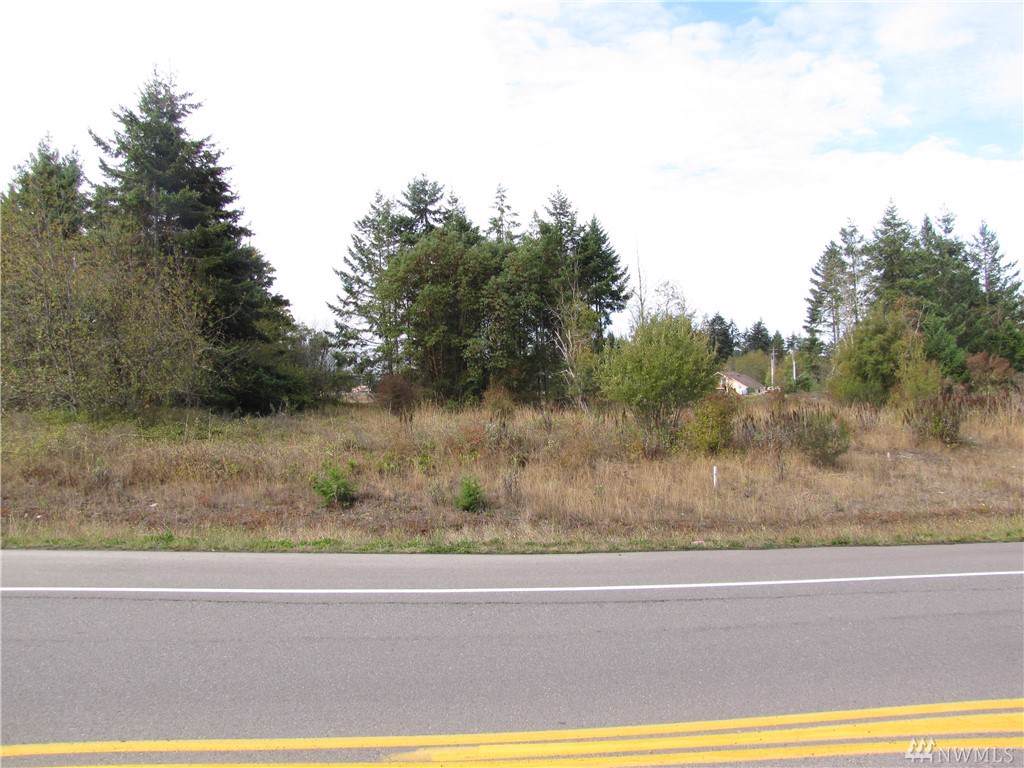 99999 Buchanan Dr - Photo 1