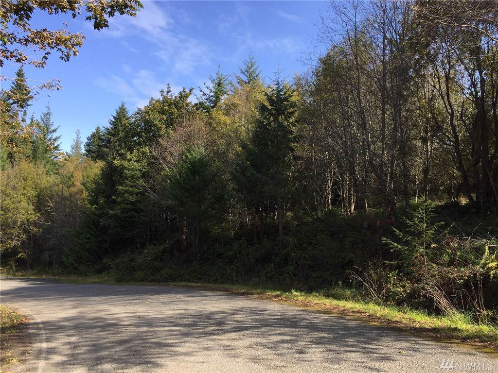 9999-Lot 2 Lake Farm Rd - Photo 1