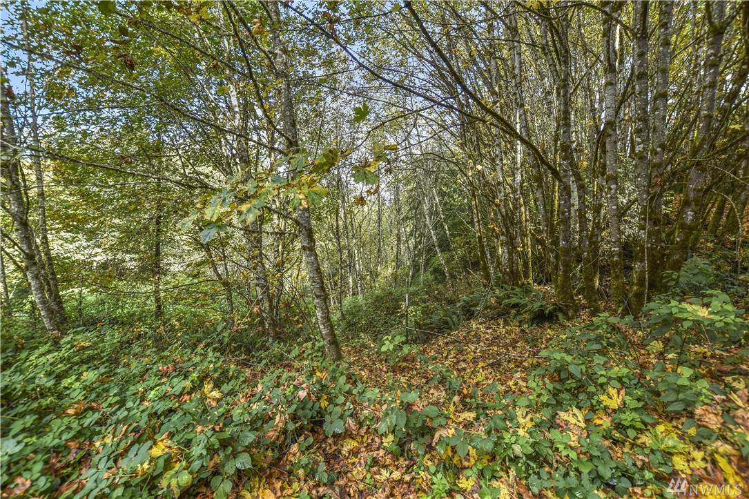 152 Coyote Canyon Rd - Photo 1