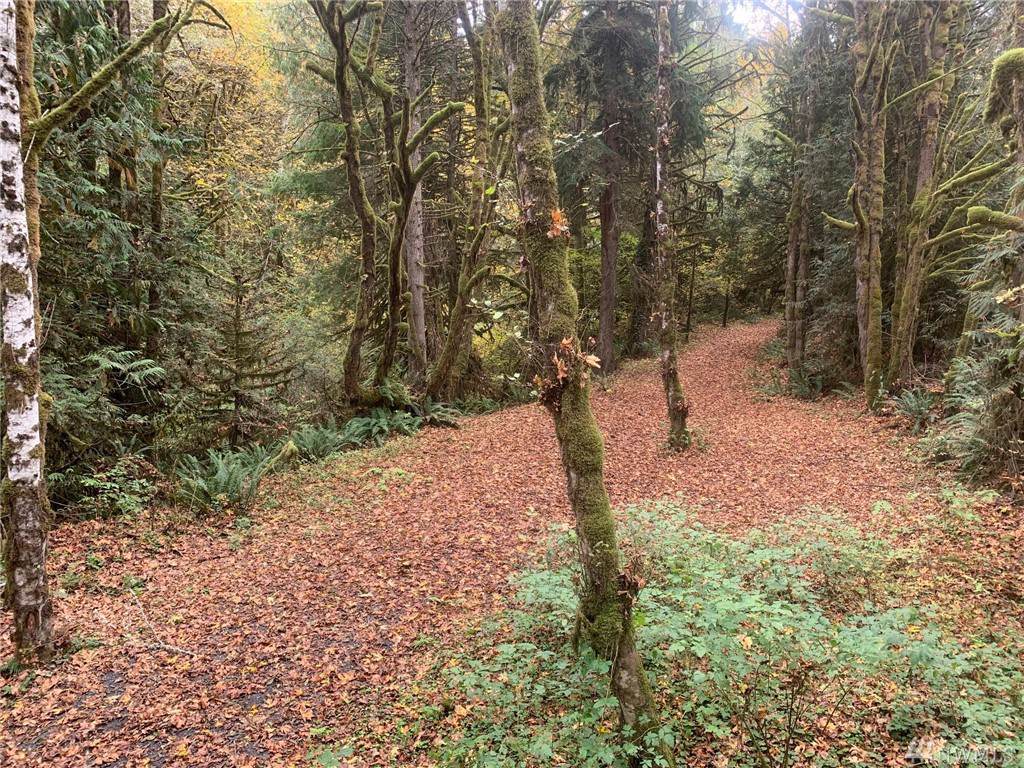 3601 Leland Valley Rd - Photo 1