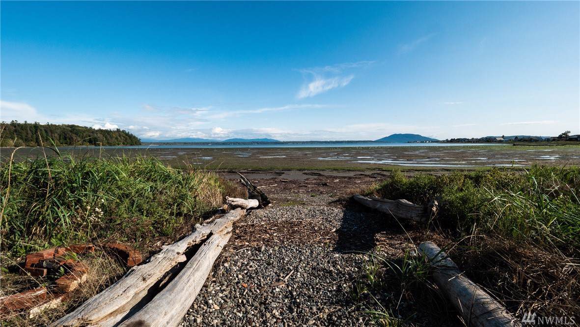 4452 Saltspring Dr - Photo 1