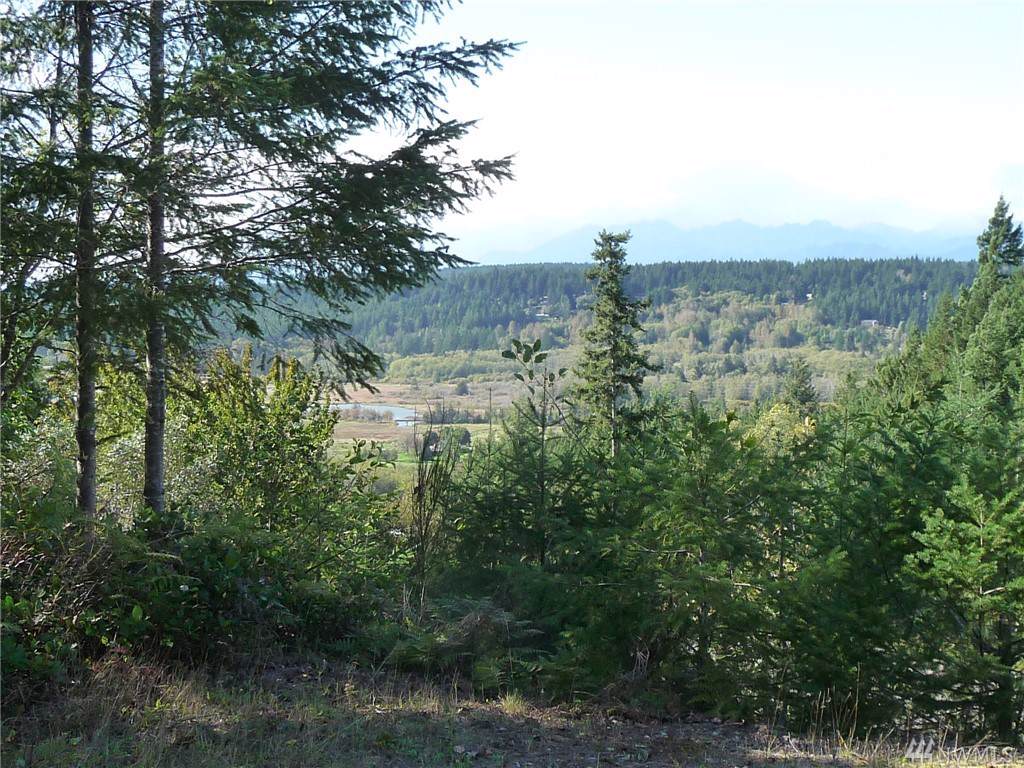 0 Sunlit Canyon Dr - Photo 1