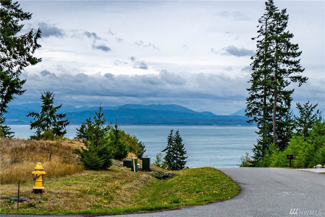 1598 View Haven Dr - Photo 1