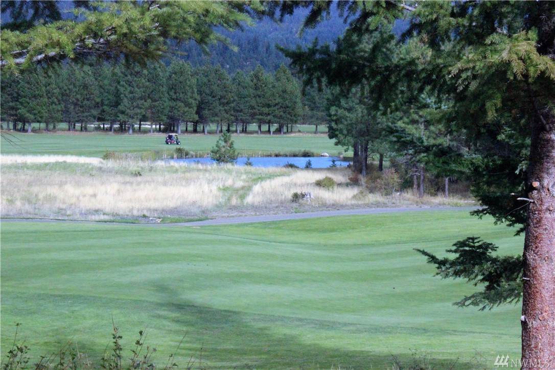 4 Tired Creek Lane - Photo 1