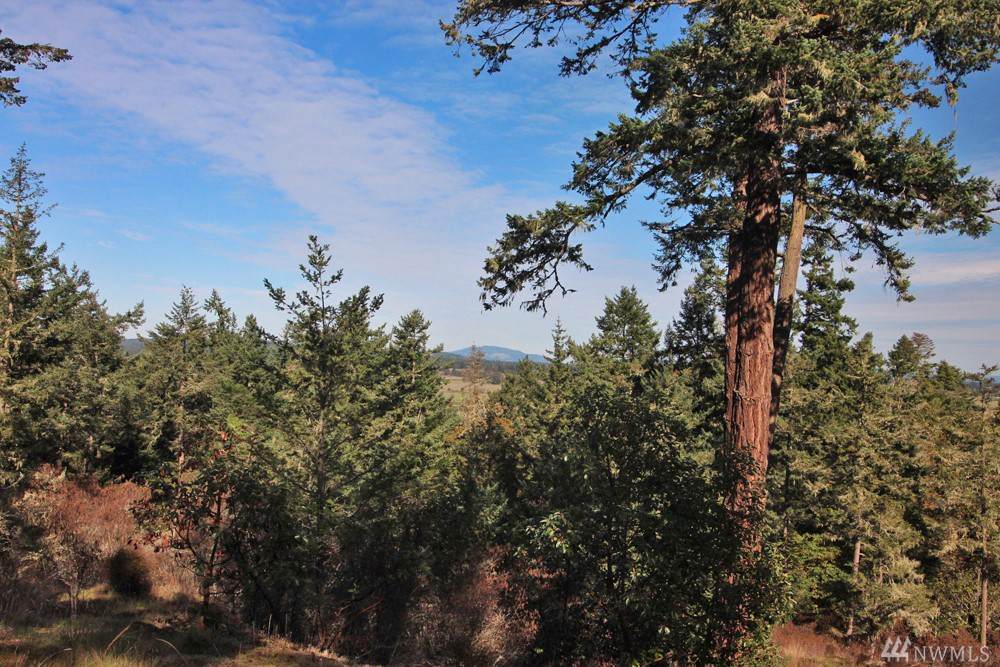642 Evergreen Lane - Photo 1