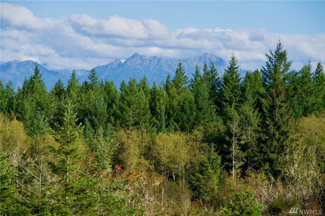 0-Lot 5 Timber Ridge - Photo 1