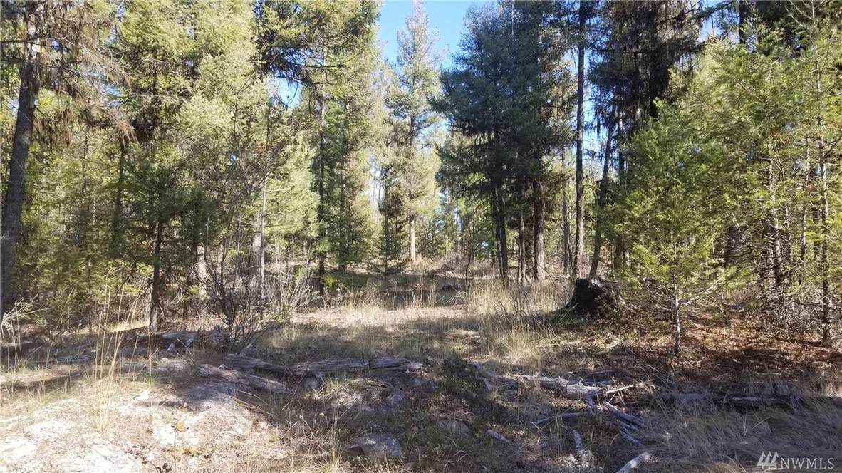 102 Corral Dr - Photo 1