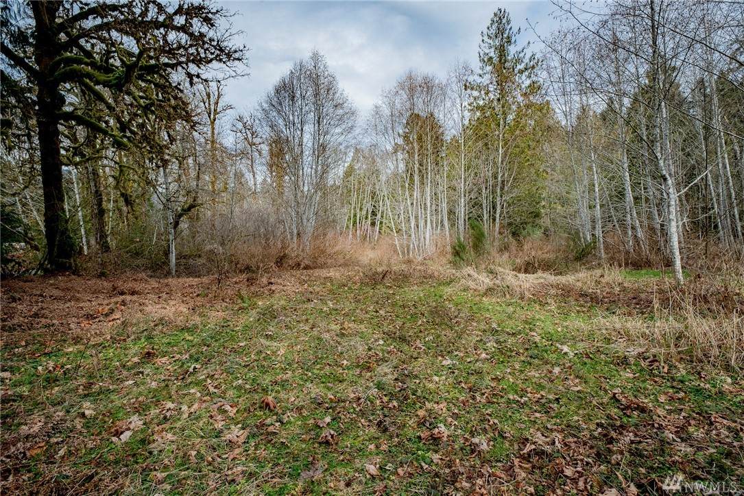 701 Duckabush Dr - Photo 1