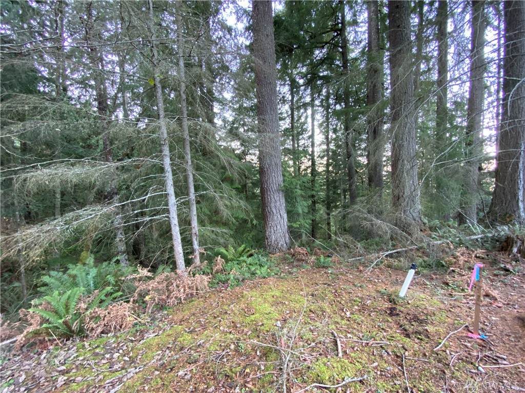 4 Catkin Ct - Photo 1