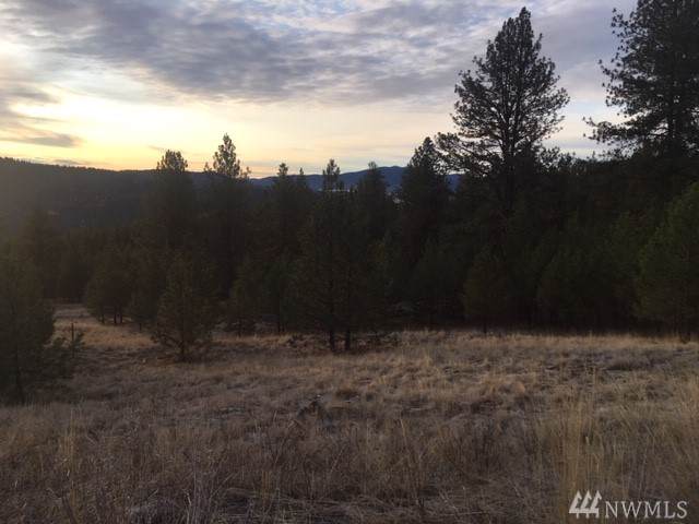 123 Cabin View Dr - Photo 1