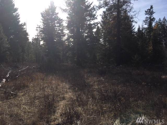 14 Lone Pine Lane - Photo 1