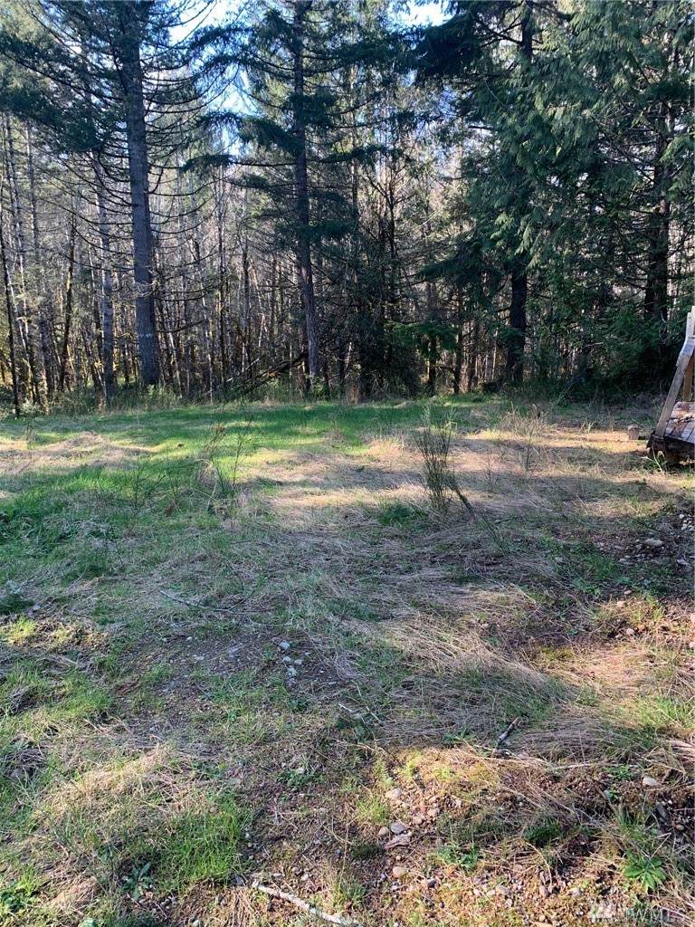 142 Leffler Loop Rd - Photo 1 142 Leffler Loop Rd - Photo 1
