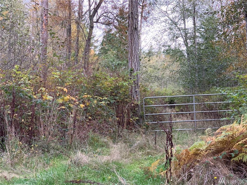 970 Marrowstone Rd - Photo 1