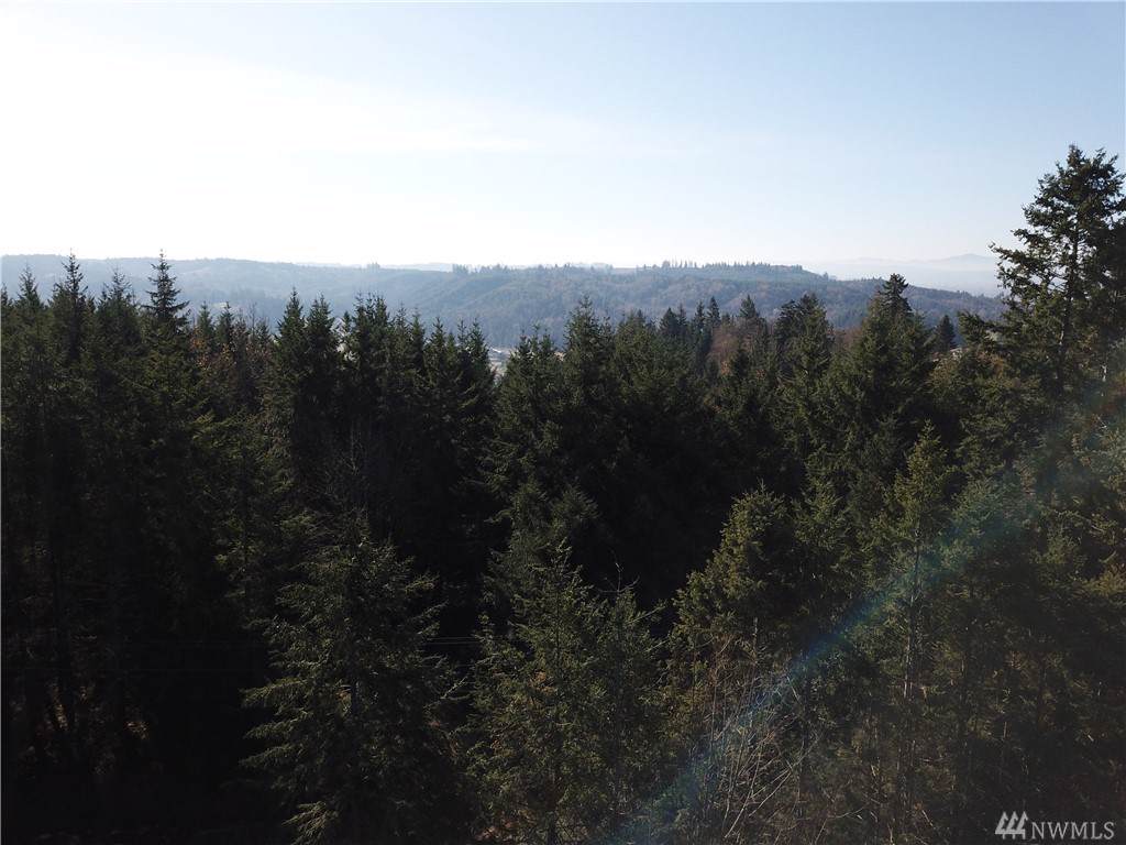 1926 Seminary Hill Rd - Photo 1