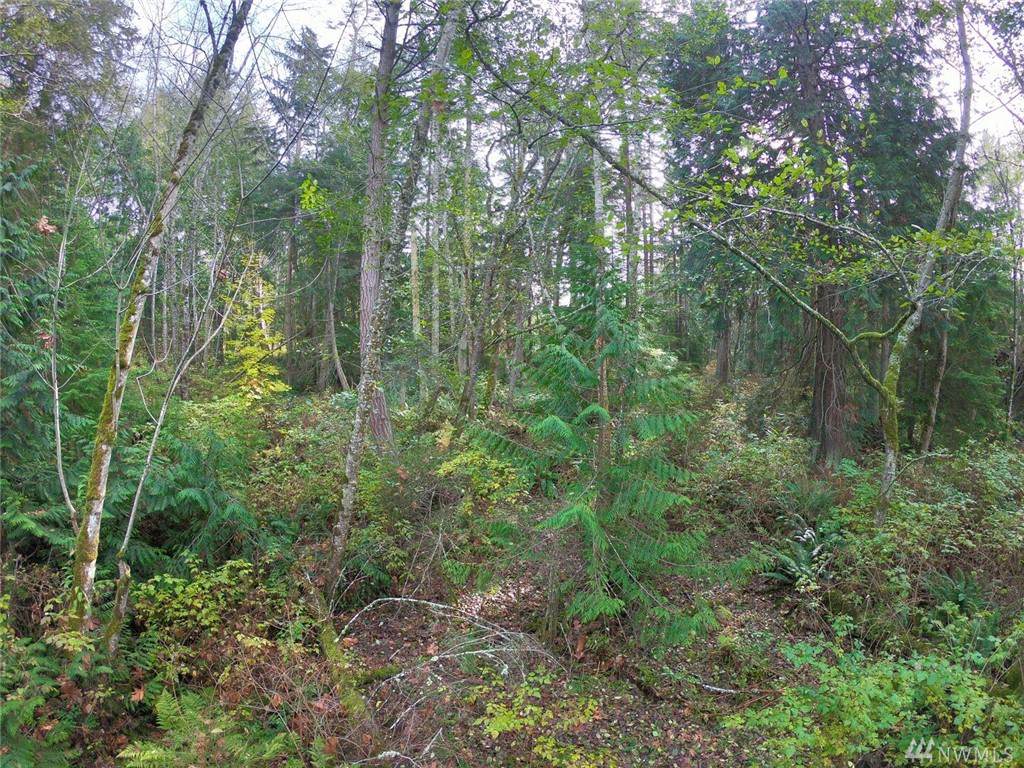 0 Swanson Lane - Photo 1