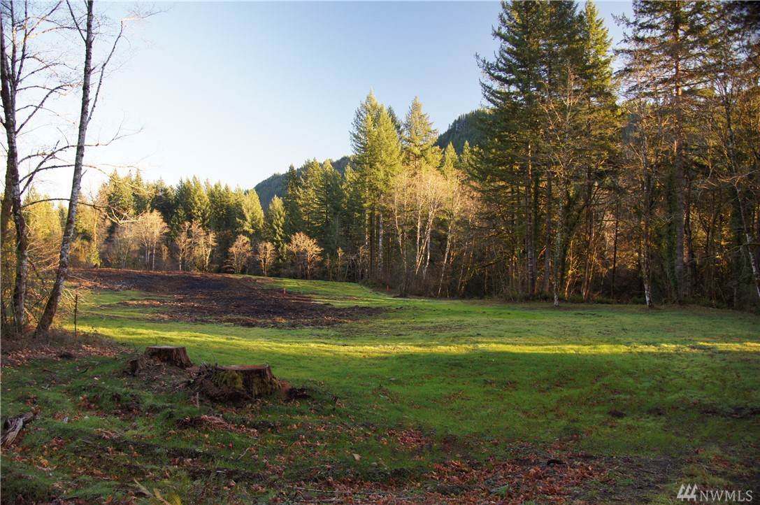 11105 Lewis River Rd - Photo 1