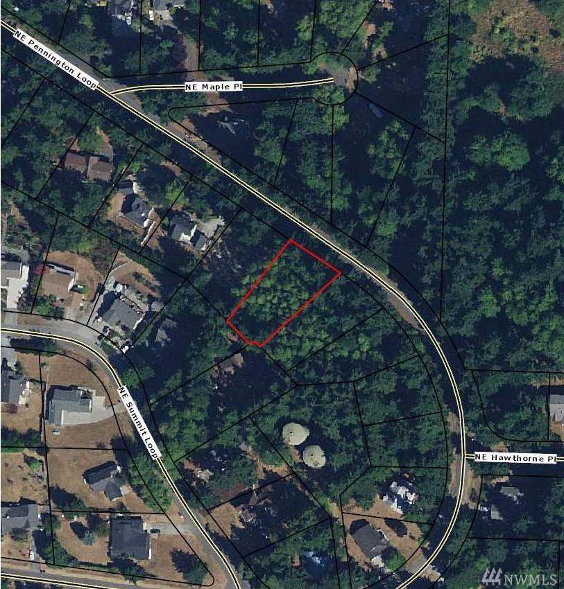 0 Pennington Loop - Photo 1