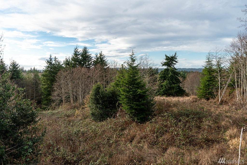 0-Lot A Moraine Lane - Photo 1 0-Lot A Moraine Lane - Photo 1