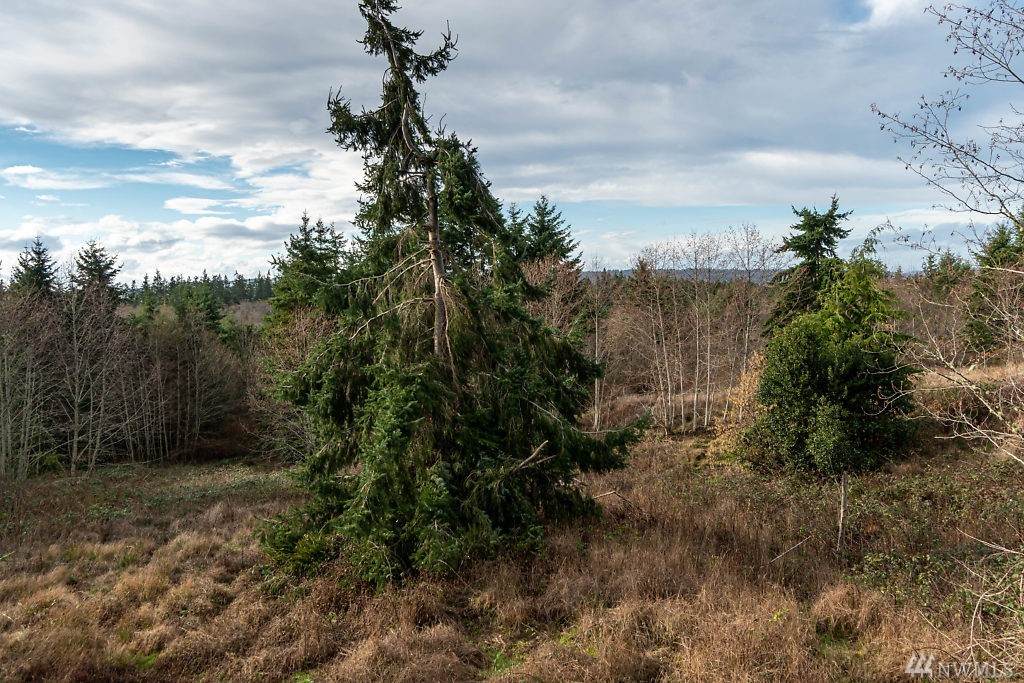 0-Lot B Moraine Lane - Photo 1