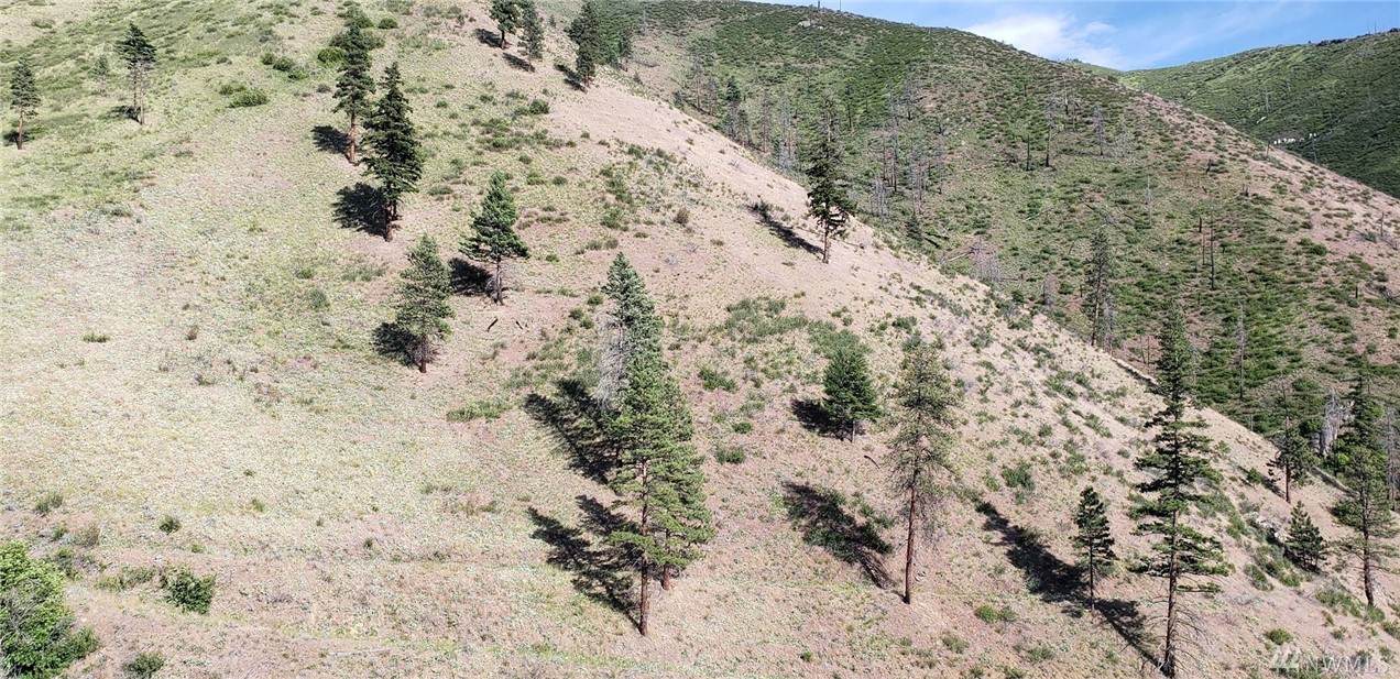 0-TBD Mills Canyon Rd - Photo 1
