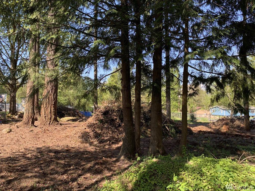34501 52nd Ave - Photo 1