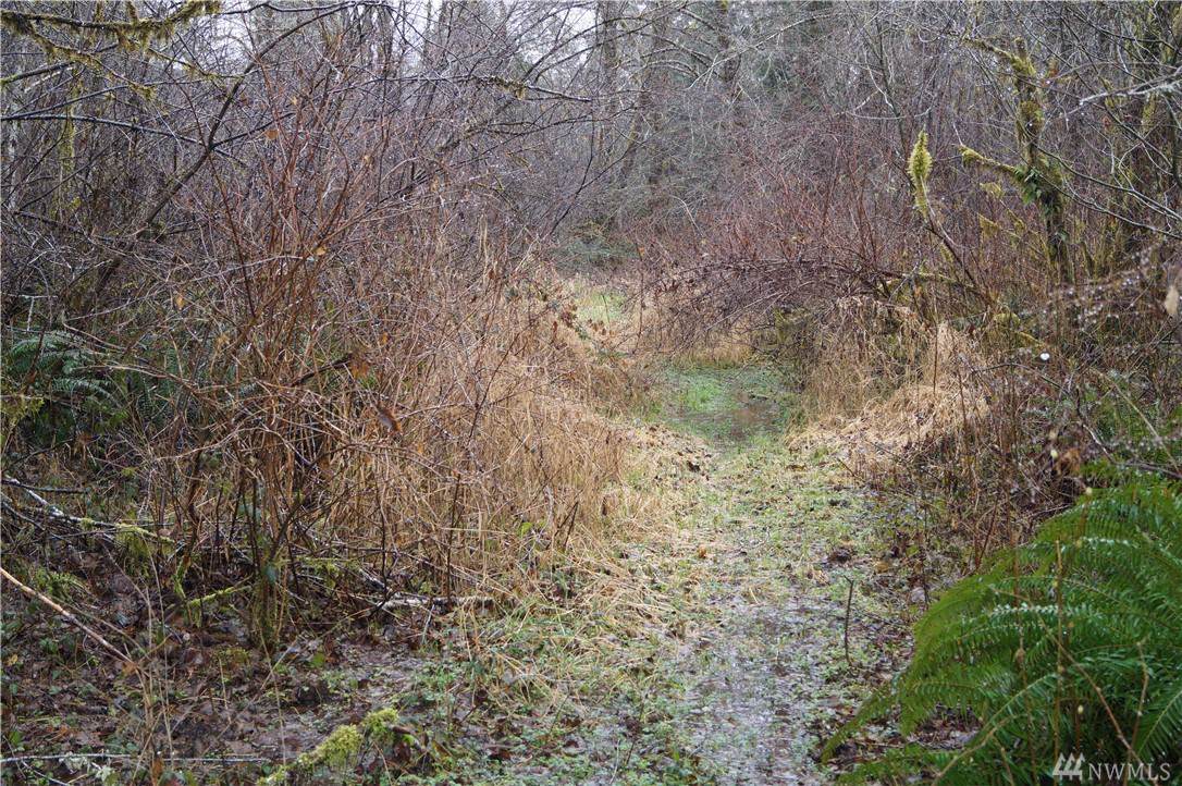 551 River Run Rd - Photo 1