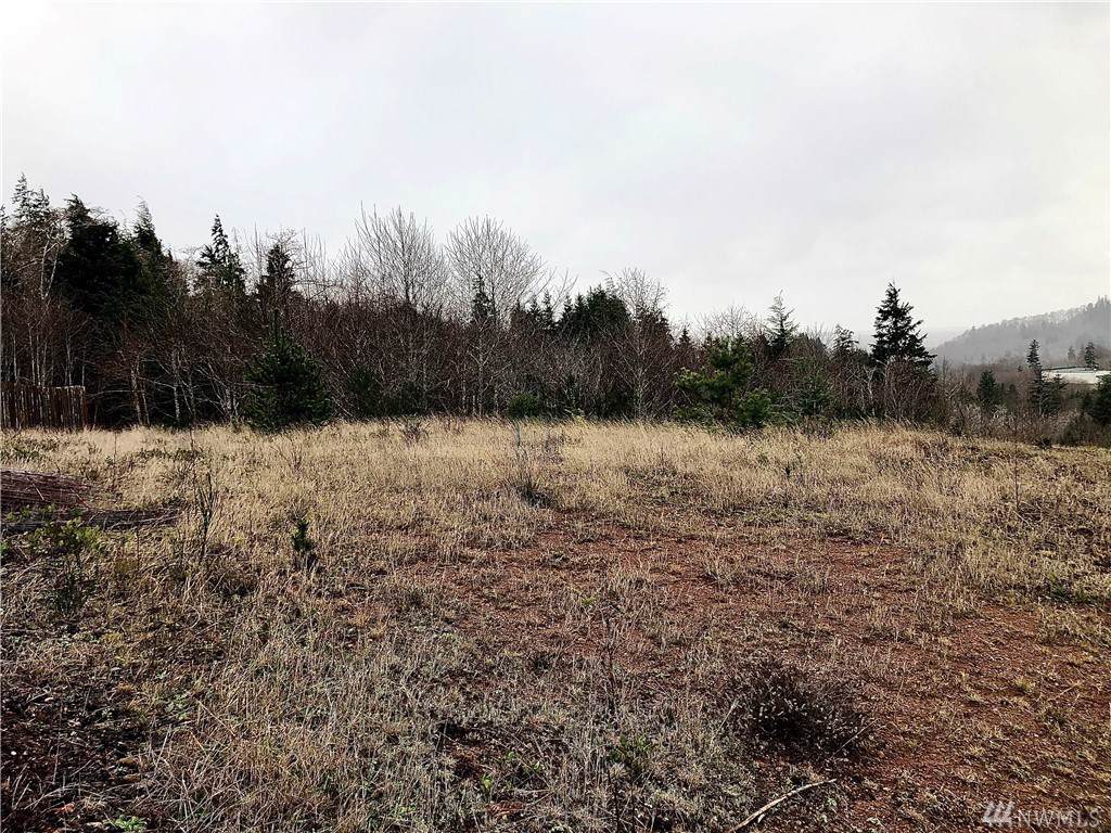 5 Weather Wax Lane - Photo 1