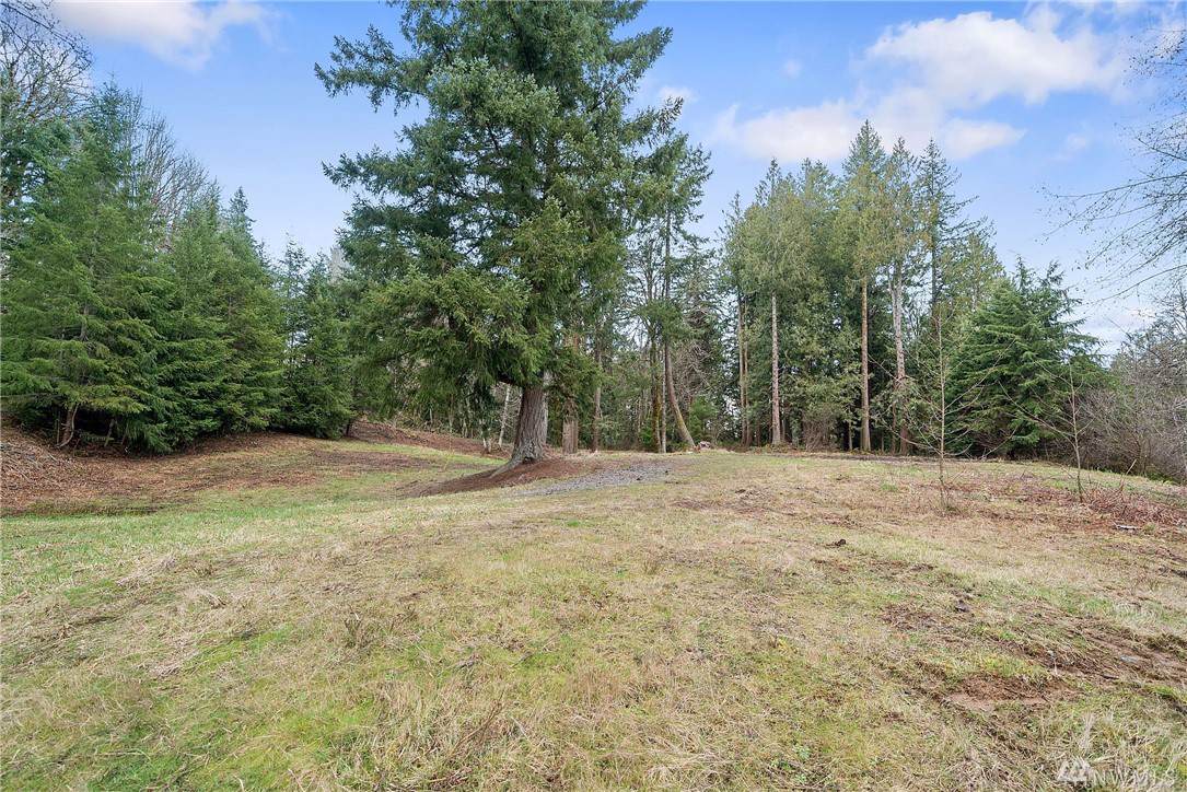 1113 93rd Ave - Photo 1