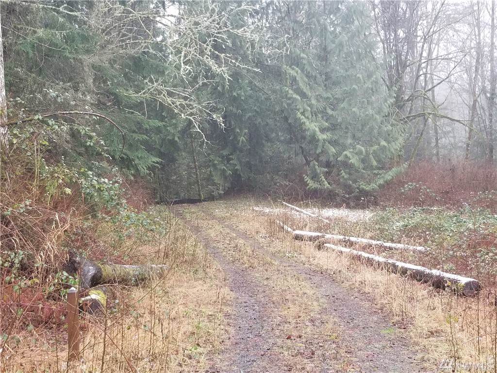 27405 139th Ave - Photo 1