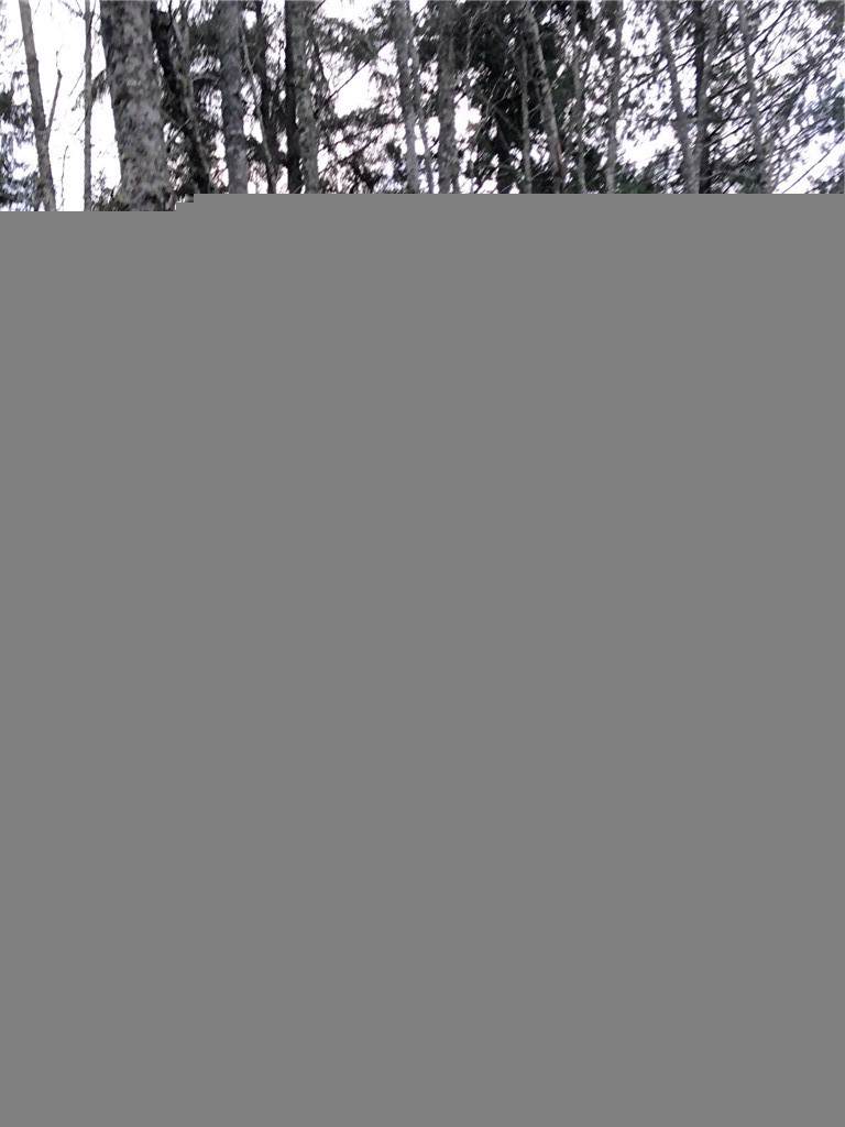 0-Lot 17 Rex St - Photo 1