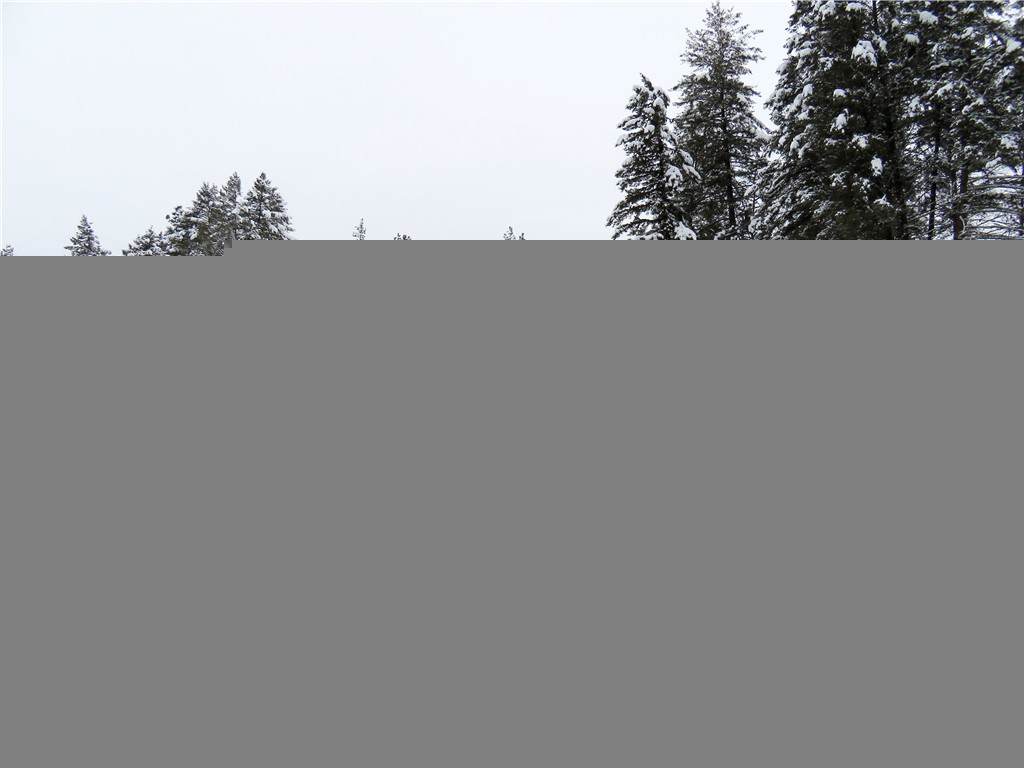 367 Boulder Creek Rd - Photo 1