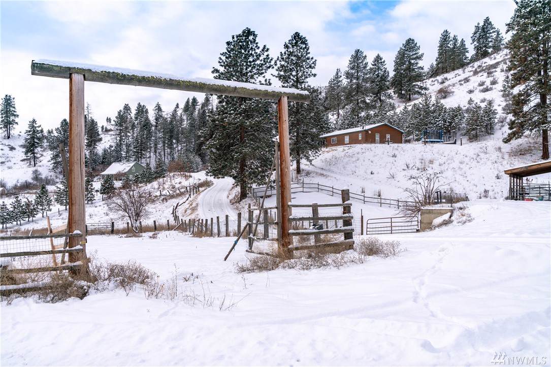 118 Rusty Spur Lane - Photo 1