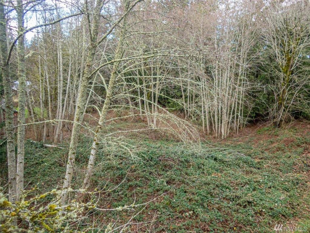 0 Sipes Lane - Photo 1