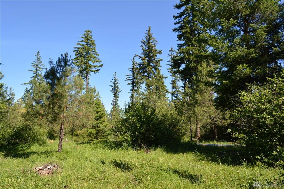29 Kokanee Lp - Photo 1