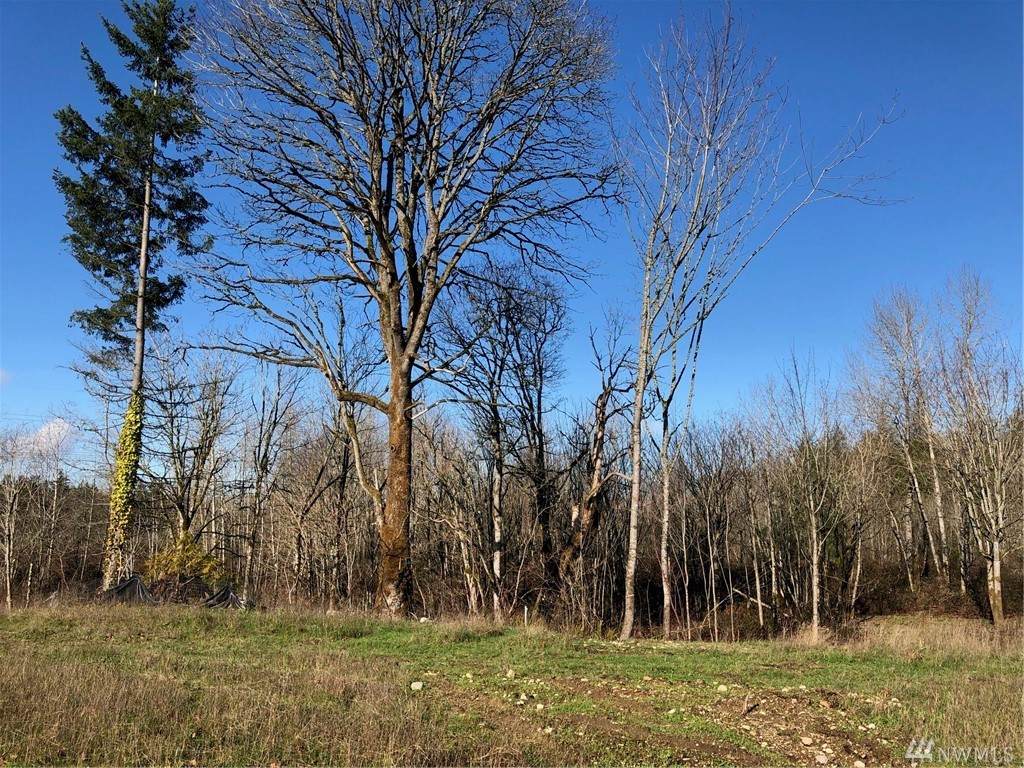 5623 13th (Lot 10) St Ct - Photo 1