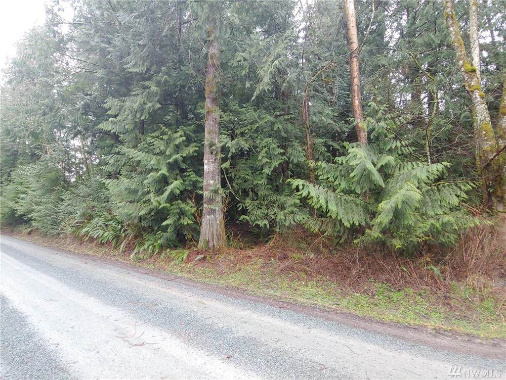 11602 Panorama Dr - Photo 1