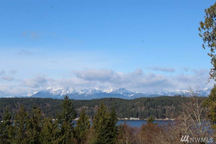 225-Lot Alder St - Photo 1
